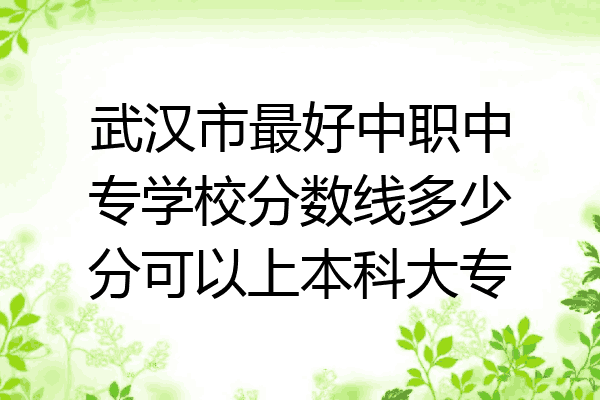 武汉市最好中职中专学校分数线多少分可以上本科大专