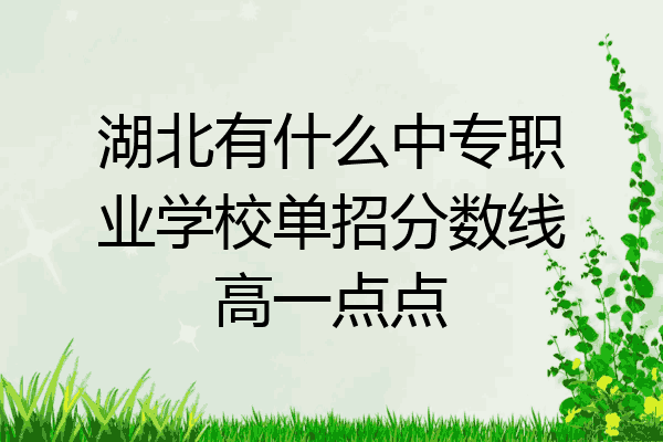 湖北有什么中专职业学校单招分数线高一点点