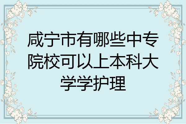 咸宁市有哪些中专院校可以上本科大学学护理