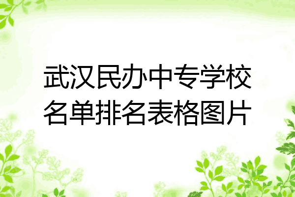 武汉民办中专学校名单排名表格图片