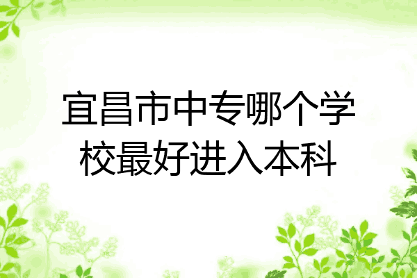 宜昌市中专哪个学校最好进入本科