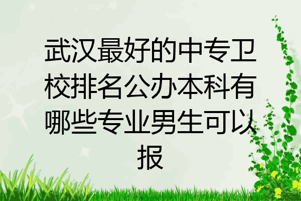 武汉最好的中专卫校排名公办本科有哪些专业男生可以报