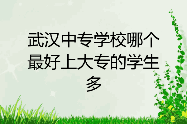 武汉中专学校哪个最好上大专的学生多