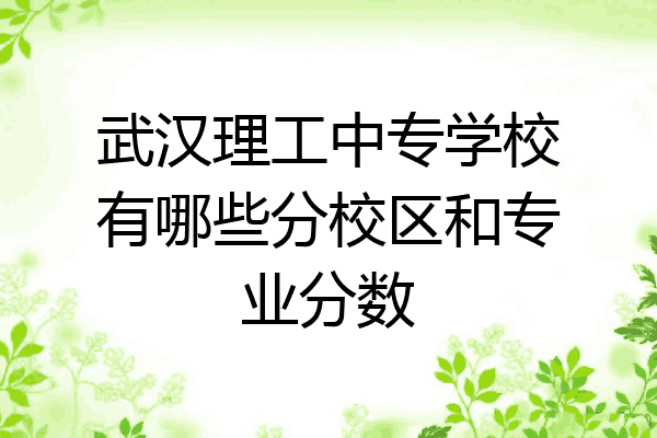 武汉理工中专学校有哪些分校区和专业分数
