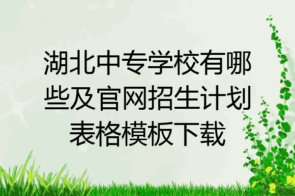 湖北中专学校有哪些及官网招生计划表格模板下载