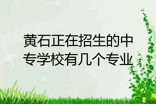 黄石正在招生的中专学校有几个专业
