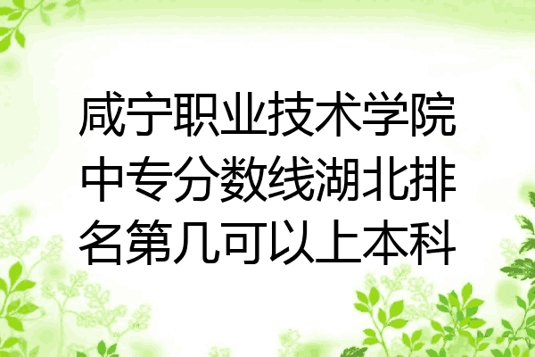 咸宁职业技术学院中专分数线湖北排名第几可以上本科