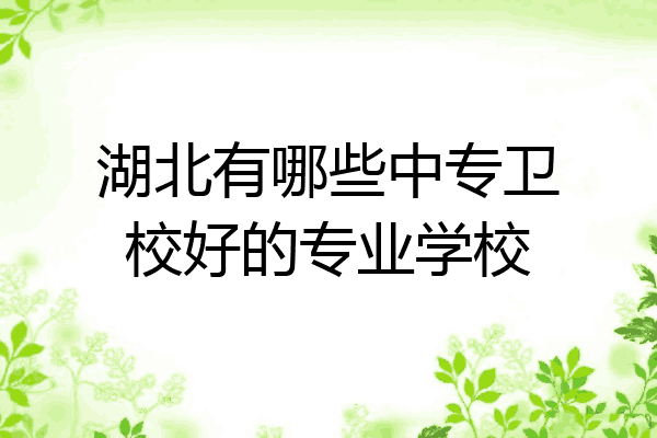 湖北有哪些中专卫校好的专业学校