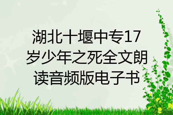 湖北十堰中专17岁少年之死全文朗读音频版电子书