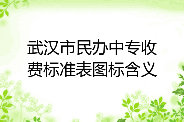 武汉市民办中专收费标准表图标含义
