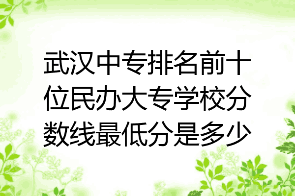 武汉中专排名前十位民办大专学校分数线最低分是多少