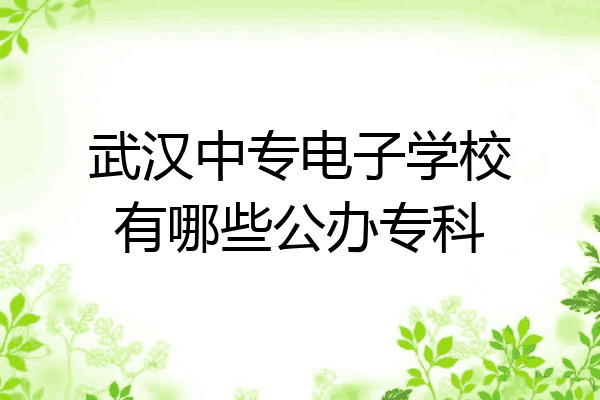 武汉中专电子学校有哪些公办专科