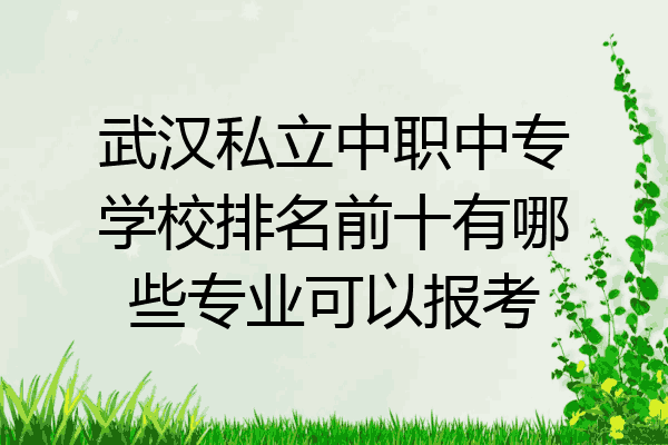 武汉私立中职中专学校排名前十有哪些专业可以报考