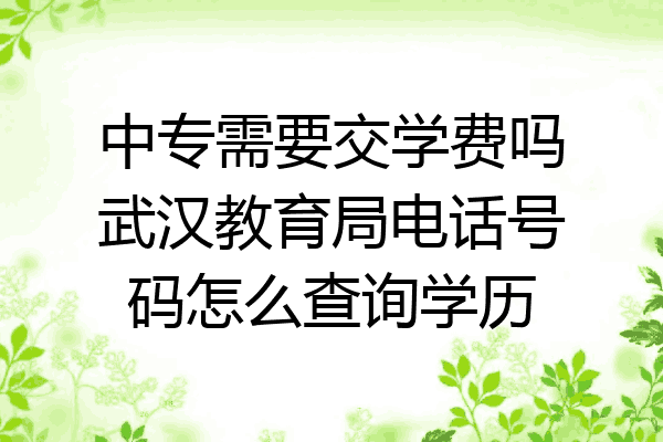中专需要交学费吗武汉教育局电话号码怎么查询学历