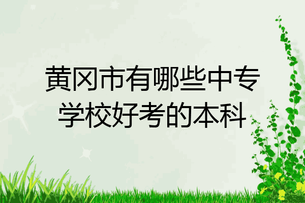 黄冈市有哪些中专学校好考的本科