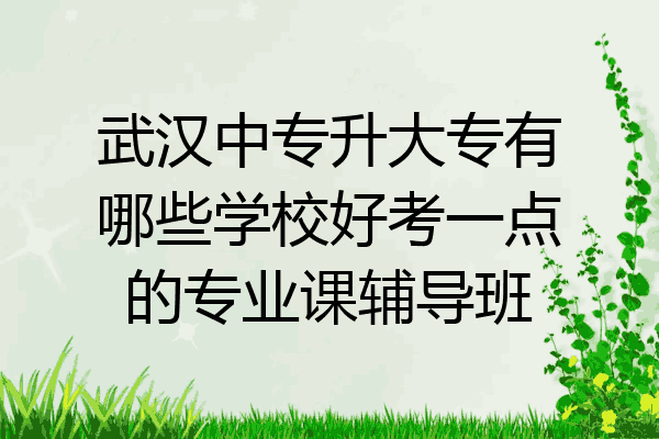 武汉中专升大专有哪些学校好考一点的专业课辅导班