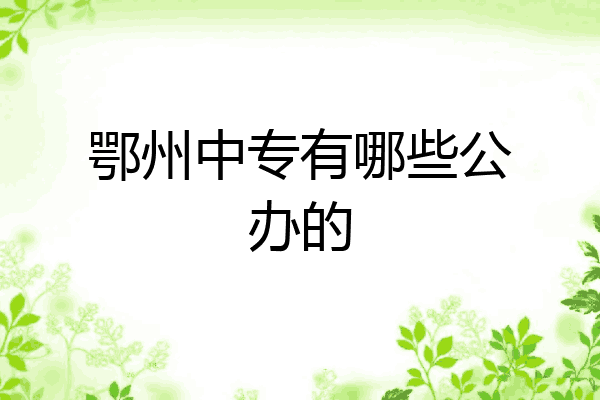 鄂州中专有哪些公办的