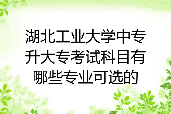 湖北工业大学中专升大专考试科目有哪些专业可选的