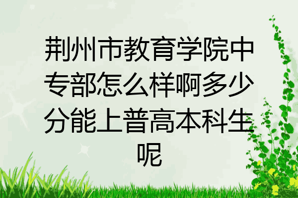 荆州市教育学院中专部怎么样啊多少分能上普高本科生呢