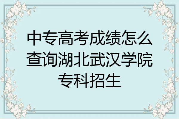 中专高考成绩怎么查询湖北武汉学院专科招生