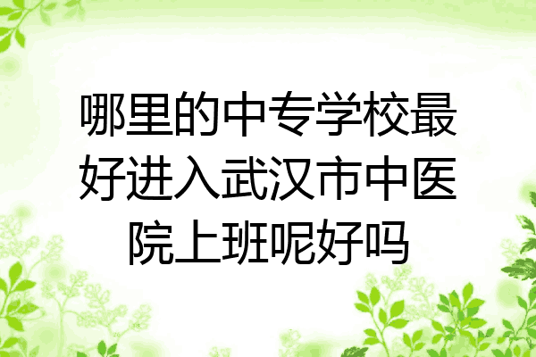 哪里的中专学校最好进入武汉市中医院上班呢好吗