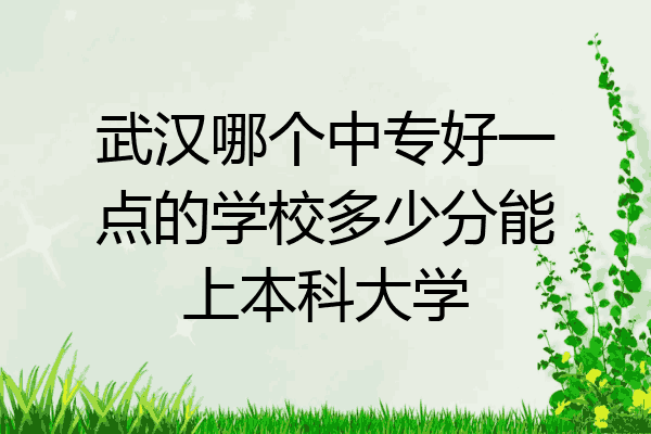 武汉哪个中专好一点的学校多少分能上本科大学
