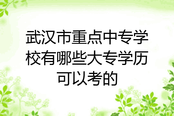 武汉市重点中专学校有哪些大专学历可以考的