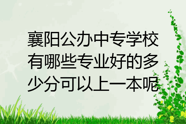 襄阳公办中专学校有哪些专业好的多少分可以上一本呢