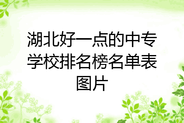 湖北好一点的中专学校排名榜名单表图片