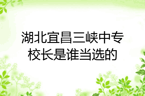 湖北宜昌三峡中专校长是谁当选的