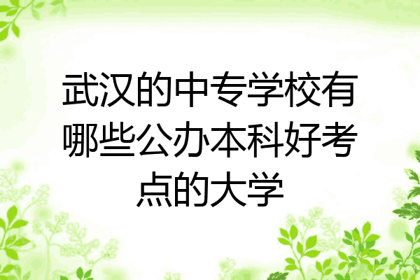 武汉的中专学校有哪些公办本科好考点的大学
