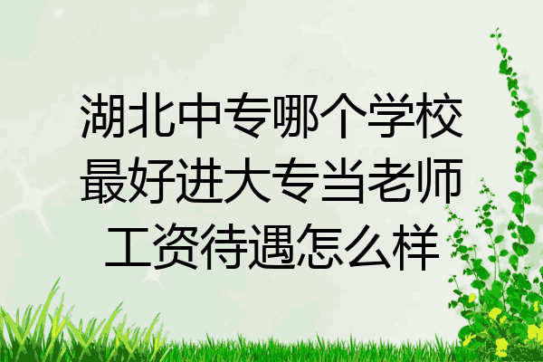 湖北中专哪个学校最好进大专当老师工资待遇怎么样