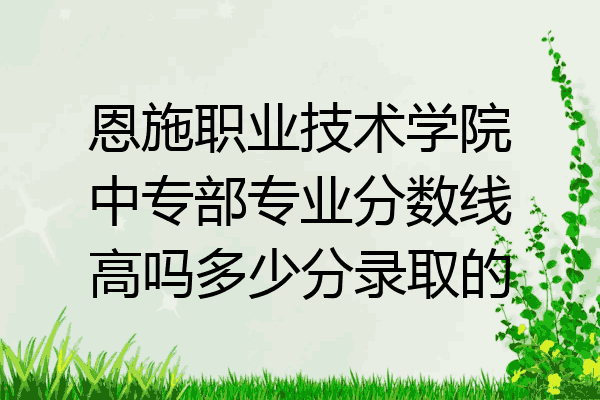 恩施职业技术学院中专部专业分数线高吗多少分录取的