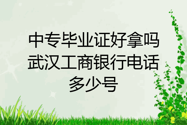 中专毕业证好拿吗武汉工商银行电话多少号
