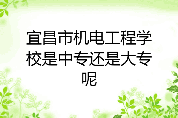 宜昌市机电工程学校是中专还是大专呢