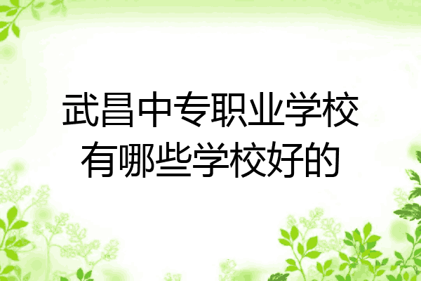 武昌中专职业学校有哪些学校好的