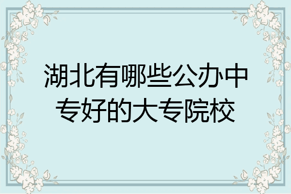 湖北有哪些公办中专好的大专院校
