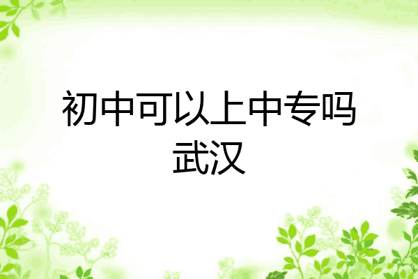初中可以上中专吗武汉