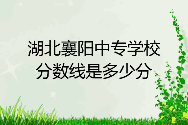 湖北襄阳中专学校分数线是多少分