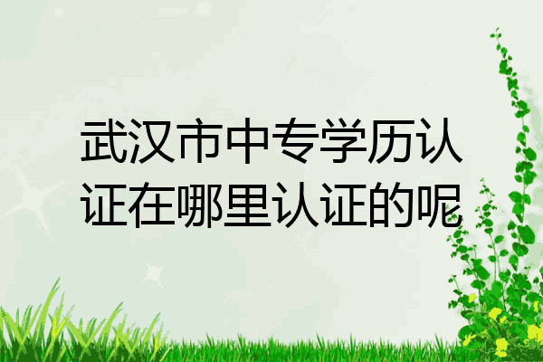 武汉市中专学历认证在哪里认证的呢