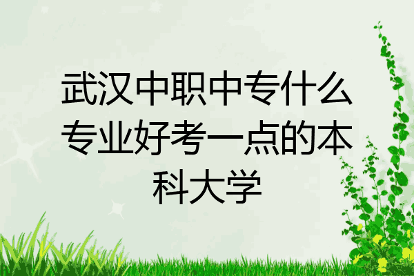 武汉中职中专什么专业好考一点的本科大学