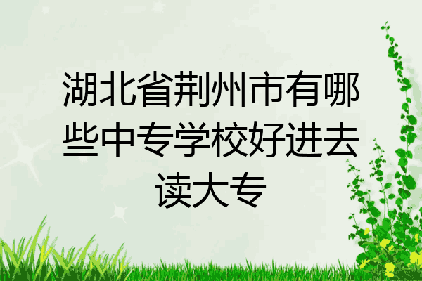 湖北省荆州市有哪些中专学校好进去读大专