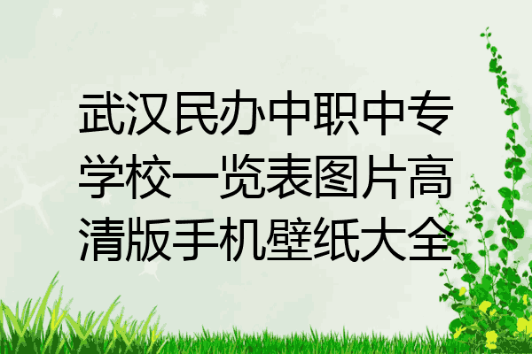 武汉民办中职中专学校一览表图片高清版手机壁纸大全