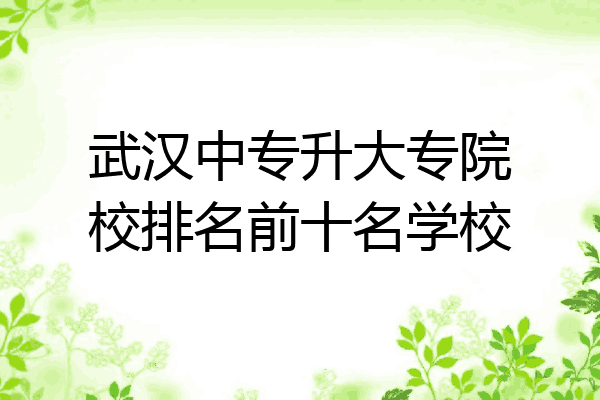 武汉中专升大专院校排名前十名学校