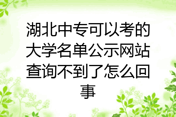 湖北中专可以考的大学名单公示网站查询不到了怎么回事