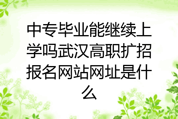 中专毕业能继续上学吗武汉高职扩招报名网站网址是什么