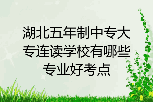 湖北五年制中专大专连读学校有哪些专业好考点