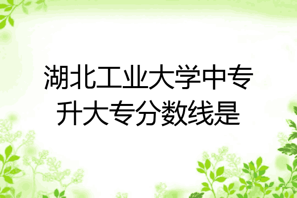 湖北工业大学中专升大专分数线是