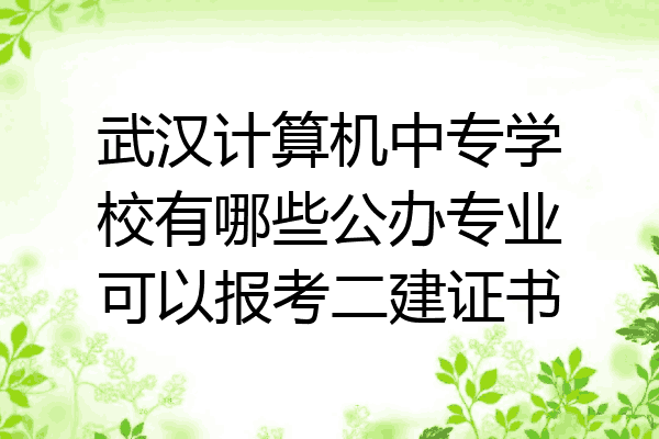 武汉计算机中专学校有哪些公办专业可以报考二建证书