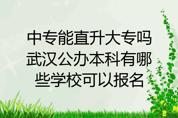 中专能直升大专吗武汉公办本科有哪些学校可以报名